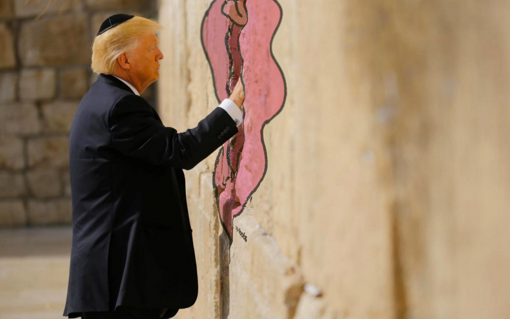 Grabbing the Wall By the Pussy